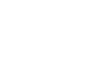 Loconsole PVA